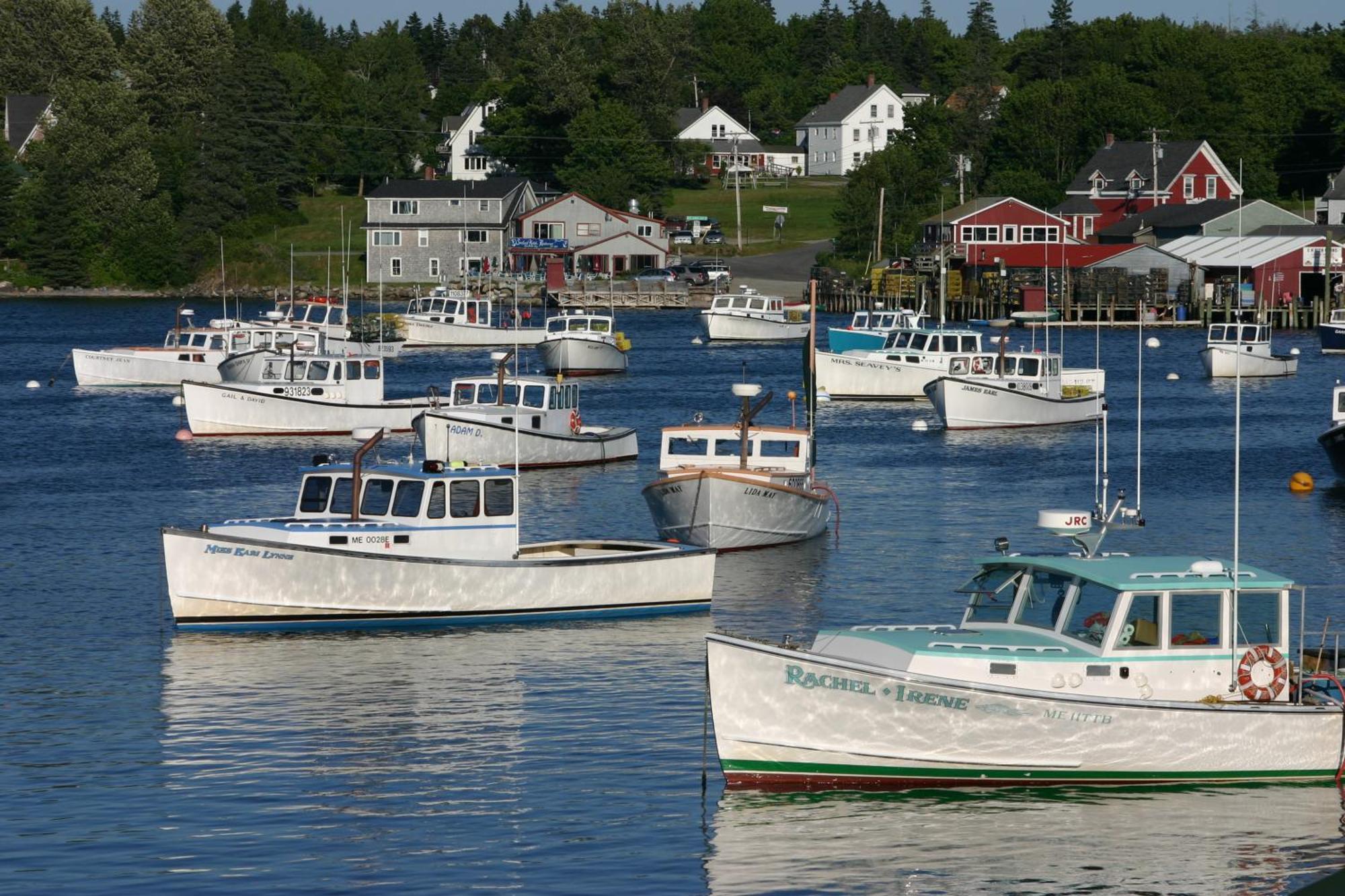 Lighthouse Cabins Maine Bass Harbor Bagian luar foto